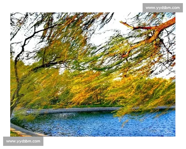 《全面解读诗词大会比赛规则与选手参赛须知详解》 《全面解读诗词大会比赛规则与选手参赛须知详解》